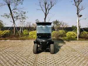 4+2 Veículo Utilitário Elétrico de Golfe para 4+2 Passageiros com Recursos de Segurança