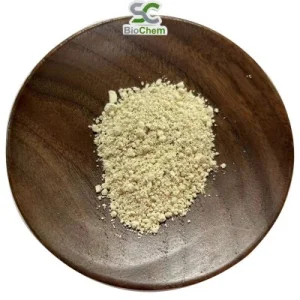 Pó de Extrato de Ginseng Panax Extrato de Folha e Raiz de Ginseng 4%~80% Ginsenosídeo