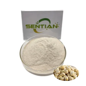 High Quality Chickpea Protein Powder 70% Good Solubility