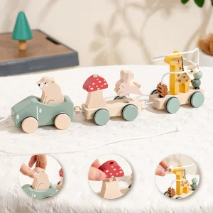 Montessori Wooden Animal Pull-along Train Toy