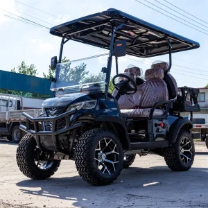 New Street Legal 48V Solar Panel Powered 4 Adult off Road Golf Cart