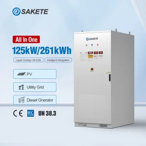Custom ESS 215kWh 261kWh 1MWh 20ft 40ft Lifepo4 Battery 500kw Cabinet Commercial Solar Energy System Container for Hospital