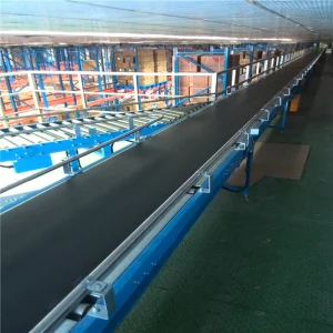 ASRS Conveyor Solutions