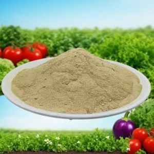 Organic Fertilizer Powder Acidic Amino Acid-Based Companion for Green Thumbs