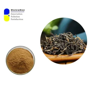 Premium Black Tea Extract Powder