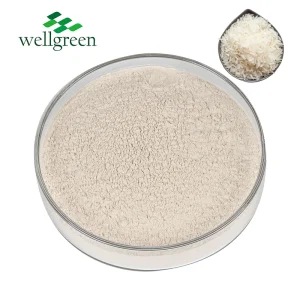 Natural Rice Protein 300Mesh Isolate Concentrate