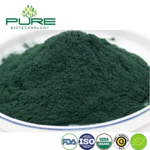 Premium Organic Spirulina Protein Powder