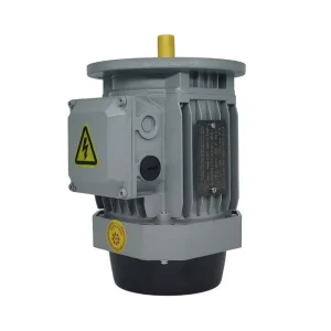 Permanent Magnet Synchronous Motor
