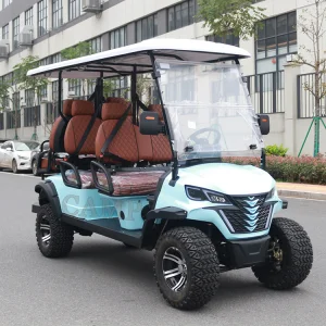 Electric Golf Cart for Food Delivery &amp; Room Service 48V Curtis Controller Insulating Dining Box for Resorts
