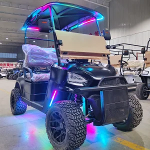 Chinese 6 Seater Electric Golf Carts Cheap Prices Buggy Car for Sale Wholesale 10 8 Passenger Golf-car-usato Modern Golf Cart