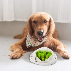 AFP Interactives Pet Dog Slow Feeder Food Maze Toy 2 Interchangeable Slow Feeding Mazes Treat Dispenser for Dogs Healthy Eating