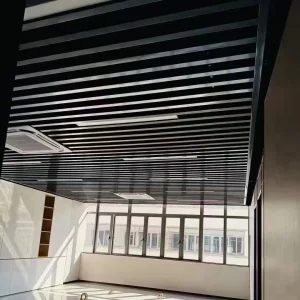 Aluminum Ceiling