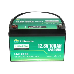 OEM LiFePO4 12V 100Ah Lithium Battery