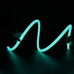 Citylux Smart D18 D22 D25mm 360 Silicone LED Strip Light RGB RGBW CCT Neon Rope Lights