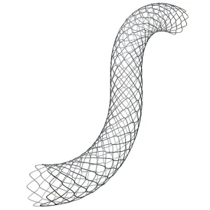 Coronary Stent