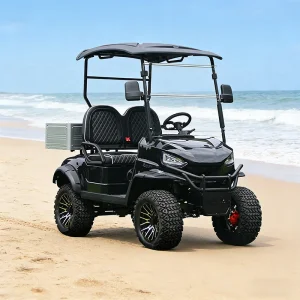 2 Passenger Golf Cart Aluminum Cargo Box
