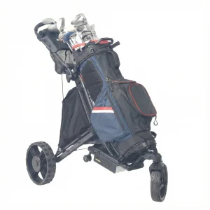 All Terrain Electric Golf Cart Dual Motor