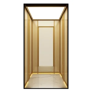 Space-Saving Machine-Room-Less Low-Pit Customized Design Home Villa Elevator