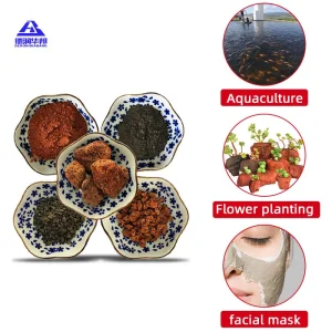 Porous Volcanic Rock Decorative Stone Arrangement