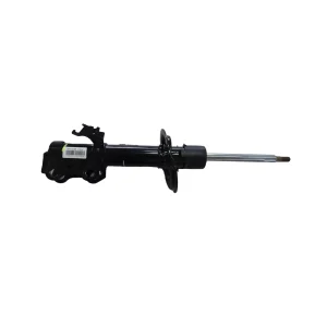 BYD Qin EV Strut