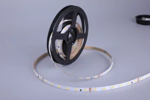 OEM ODM Tunable Dual White Cct Adjustable High Efficacy Led Smd 2835 Flexible Strip Light