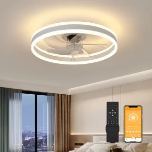 Modern Minimalist Ceiling Fan LED Light Smart Control DC Motor 5 Blades