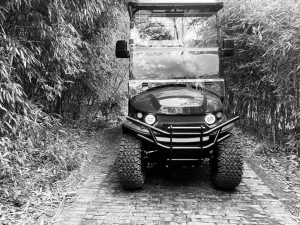 6 Carrinho de Golfe Elétrico para Caça