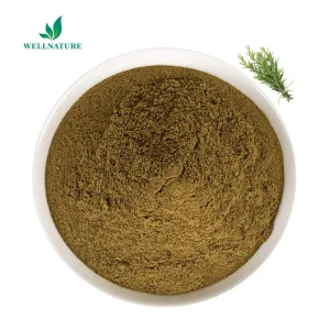Rosemary Leaf Extract
