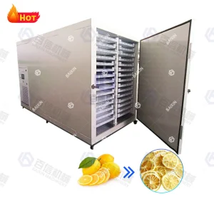 600 Capacidad de kg por lote de máquina de secado de frutas para secar limón, naranja y mango