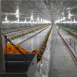 Advanced Design Controlled Poultry Shed