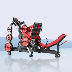 Dual System Leg Press