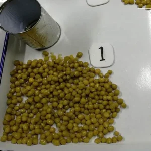 Guisantes verdes enlatados de alta calidad