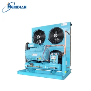 2HP/3HP وحدة تبريد مكثف أحادي الكتلة بسعر الجملة لغرفة باردة حاوية