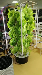 Indoor Hydroponic Garden Kit