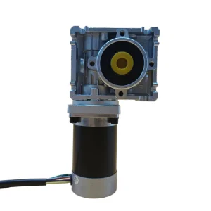 Worm Gear Motor
