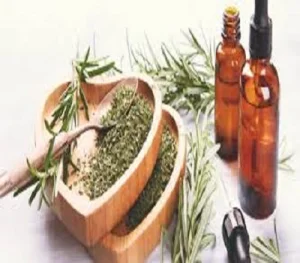 100% Pure Rosemary Essential Oil From India Vegan and Herbal Body Oil with Anti-Aging Feature OEM Bottle Supply for Adults