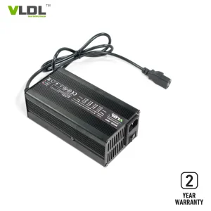 48V 5A Smart Charger