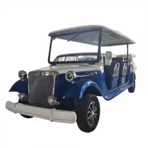 Customizable 2+2 4 Seater Electric Golf Cart