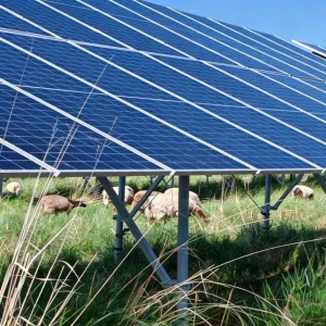 Agri-PV