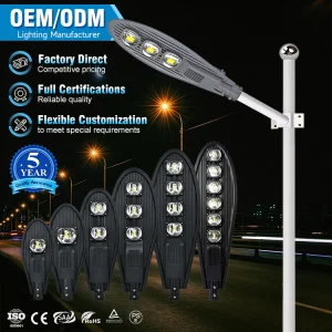 COB LED Street Light