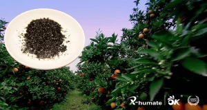X-Humate 100% Solubilidade em Água 70%Min Ácido Húmico Flocos de Humato de Potássio
