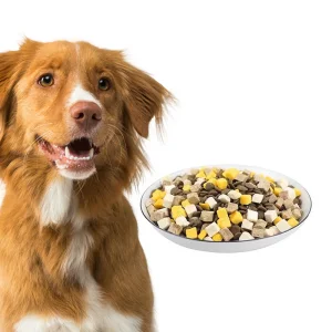 OEM Best Quality Custom Packaging High Protein Low Fat Pet Food Dry Kibble Full Nutritional Dog Dry Food with FD