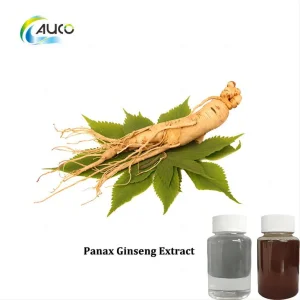 Extrato de Ginseng Panax de Alta Qualidade para Melhoria da Saúde e Bem-Estar