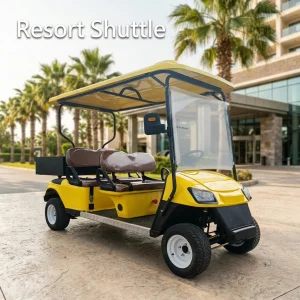 2+2 4 Passenger Lithium Battery 80-100KM Range