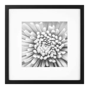 Poster Frame Wholesale