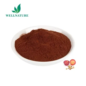 Standardized Grape Seed Extract 95% Proanthocyanidins for Premium Nutraceuticals with COA