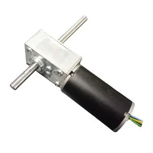 Worm Gear Motor