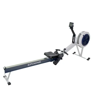 Hot Selling Rower