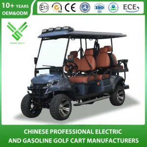 4+2 Seat/Seater 6 Passenger 5kw AC Motor 48V Hunting Offroad Lsv Mini Car Electric Golf Cart Wholesale with CE/DOT Certificated