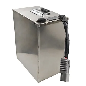 Custom Battery Pack